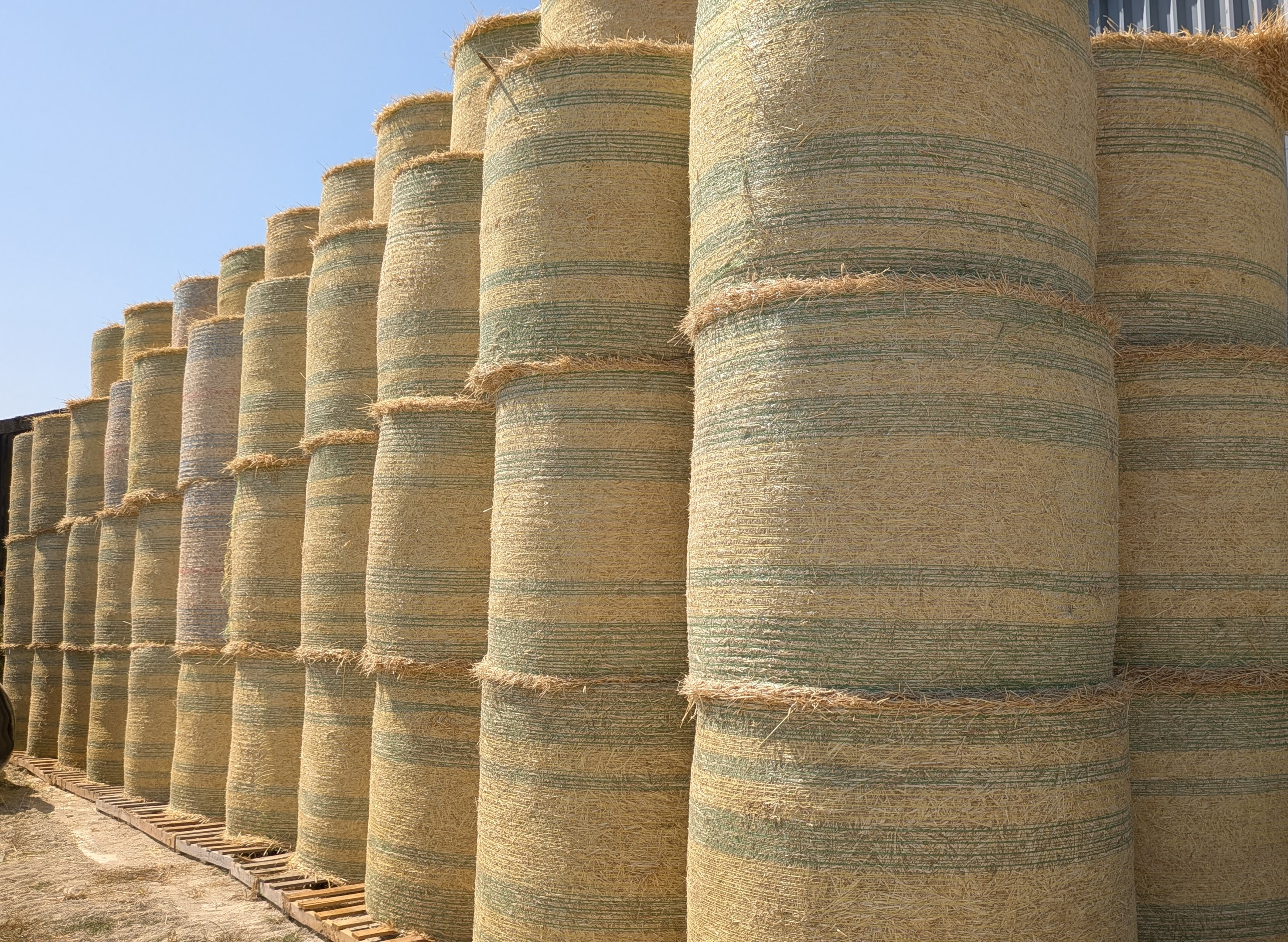 a large stack of hartcliff round bale barley straw