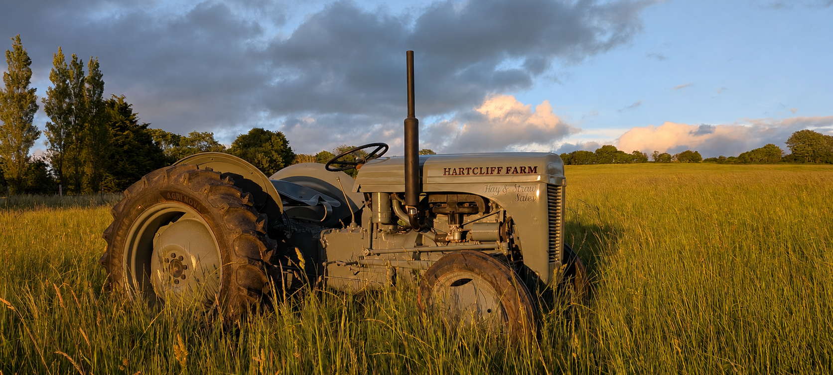 hartcliff farm ferguson ted20