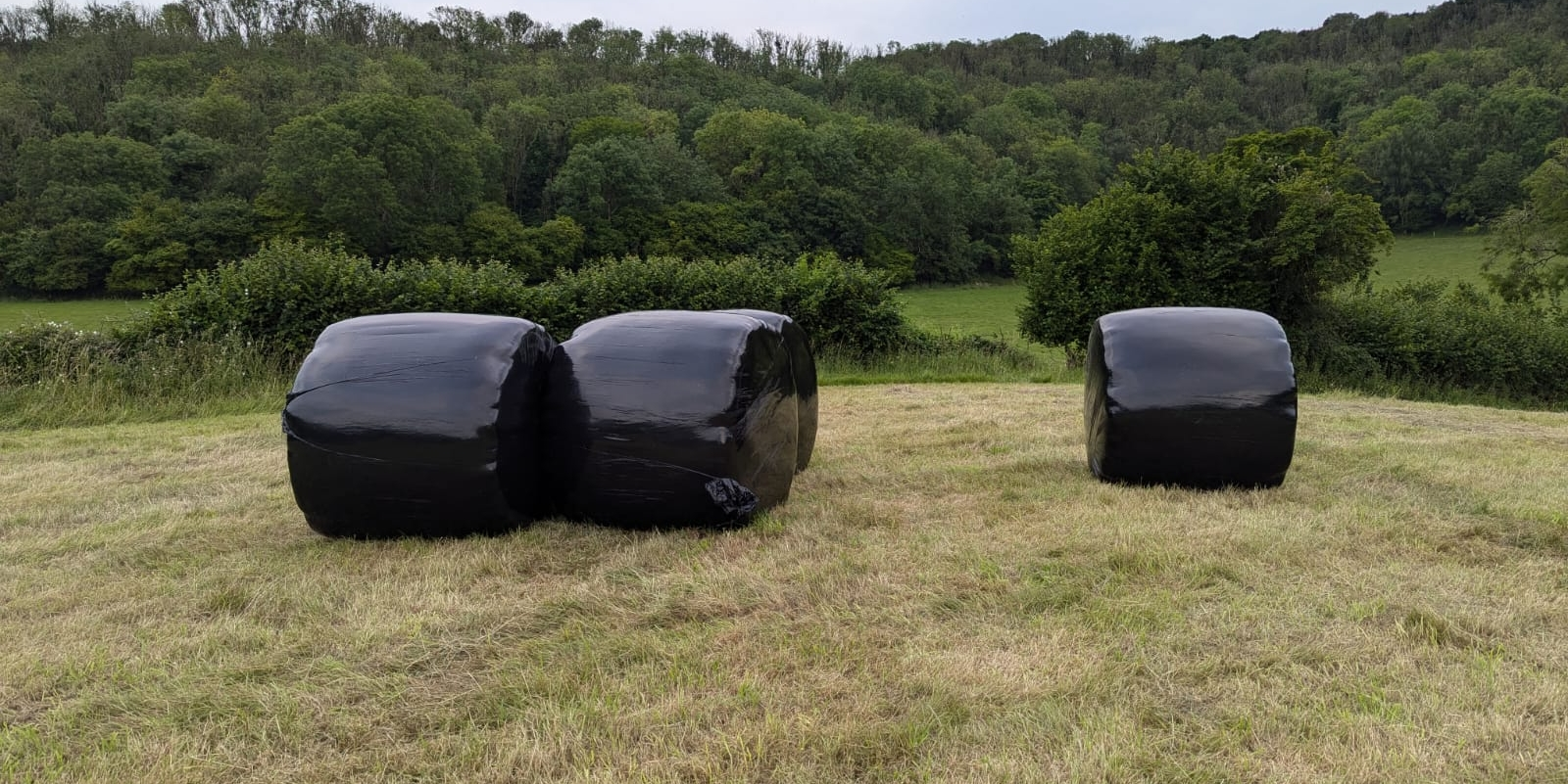 haylage banner v2