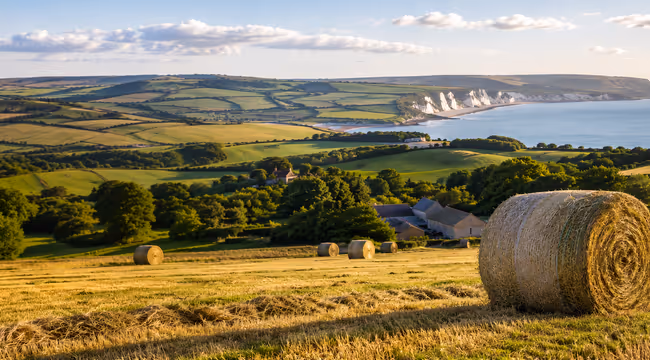 image of the diorset coastline at sunset