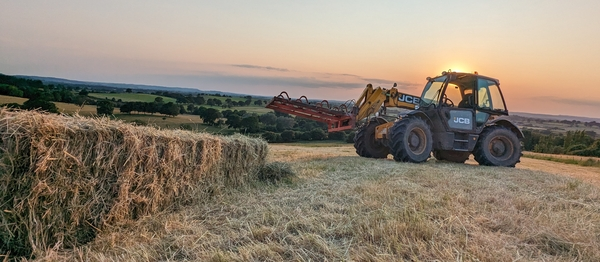 jcb handler at hartcliff v2