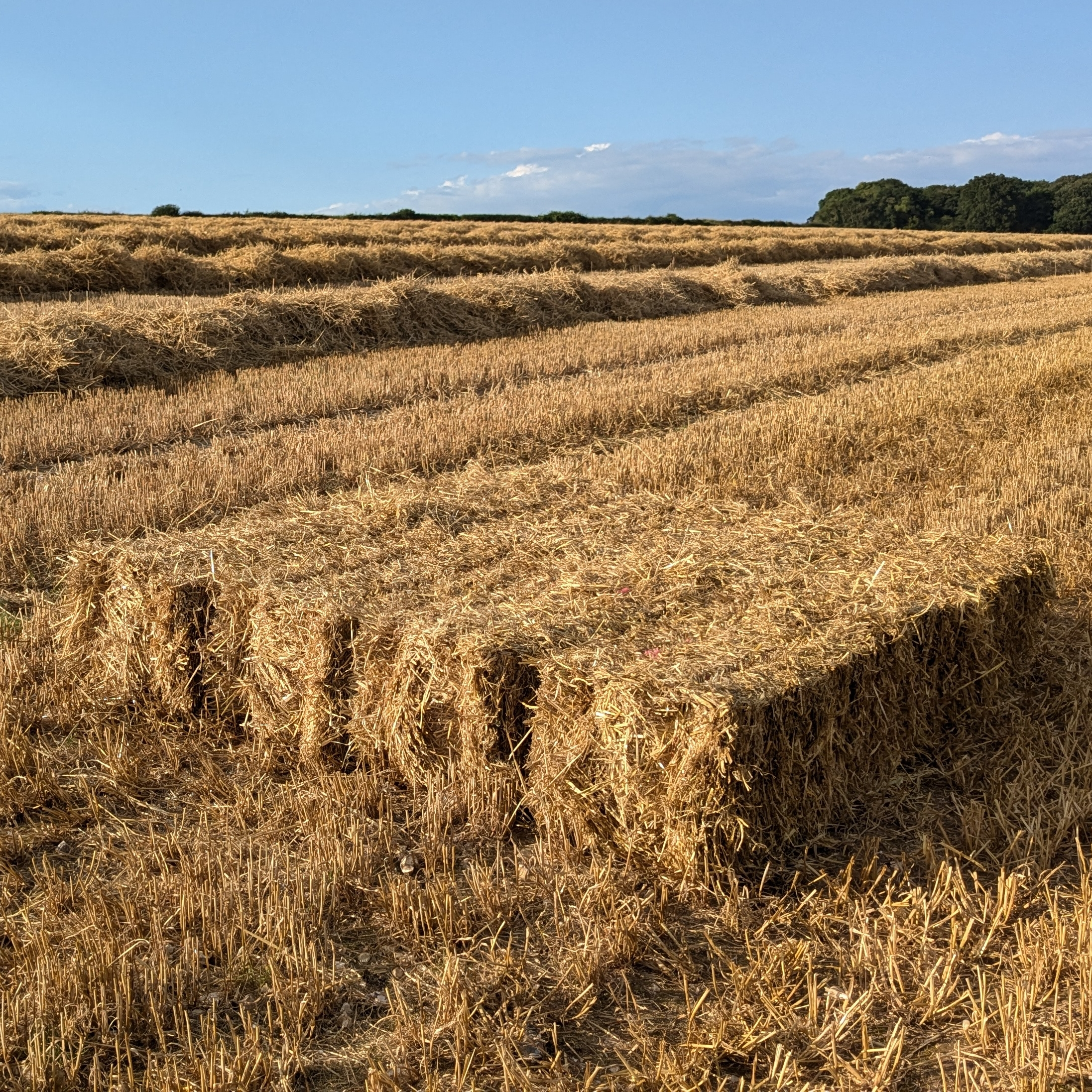 small bale straw v2