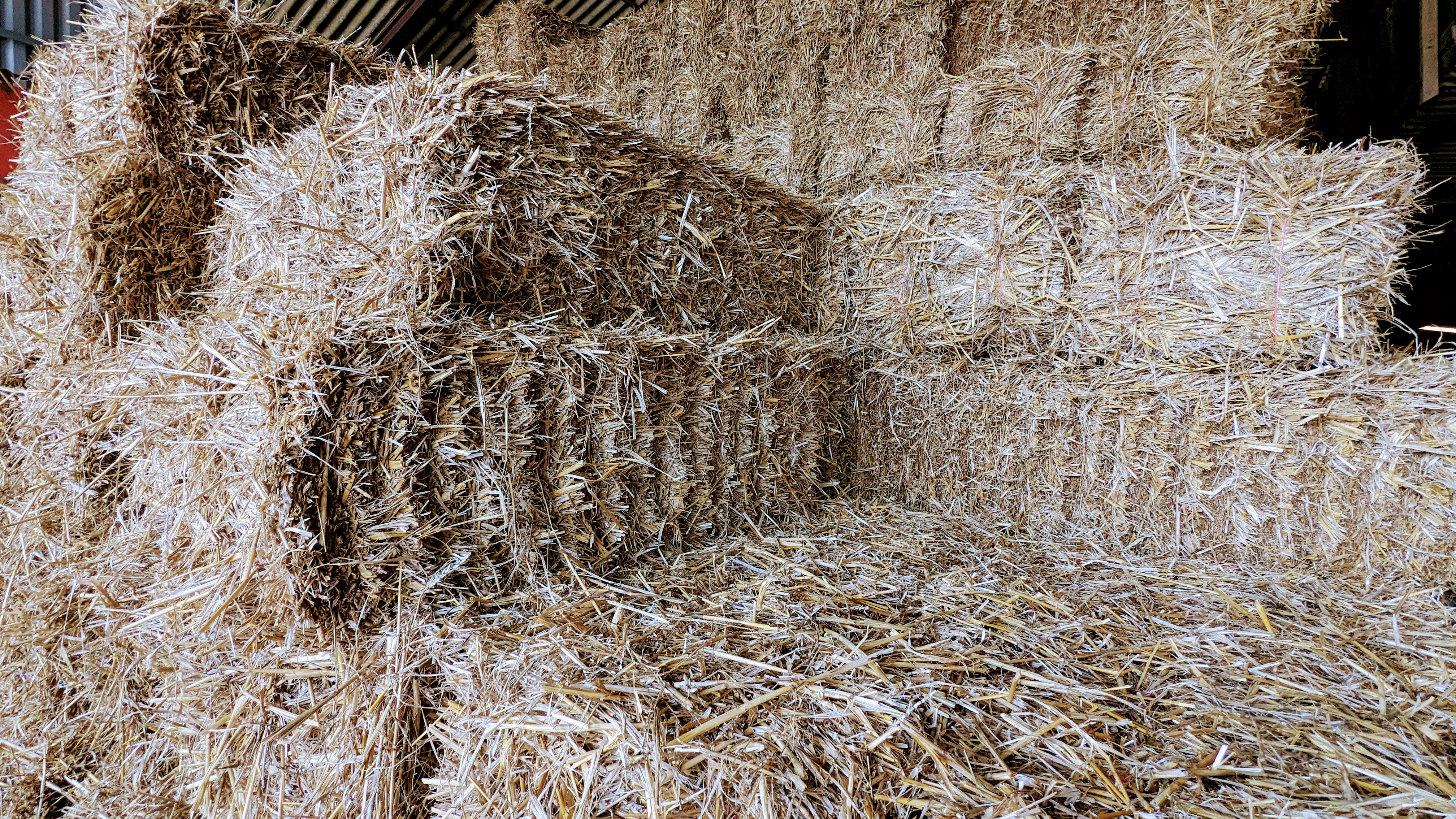 small bale wheat straw v2