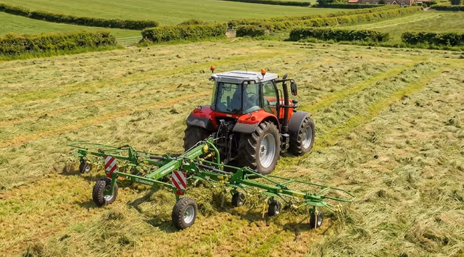 tedding grass